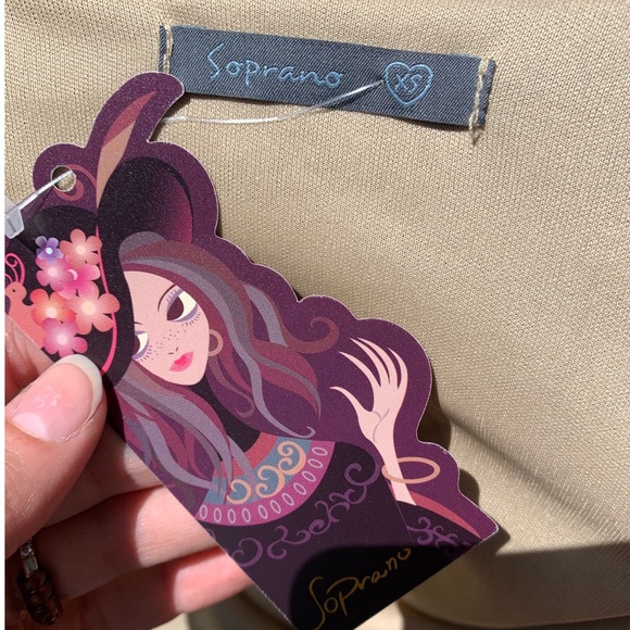 Black and Tan Mesh Dress - Picture 4 of 4